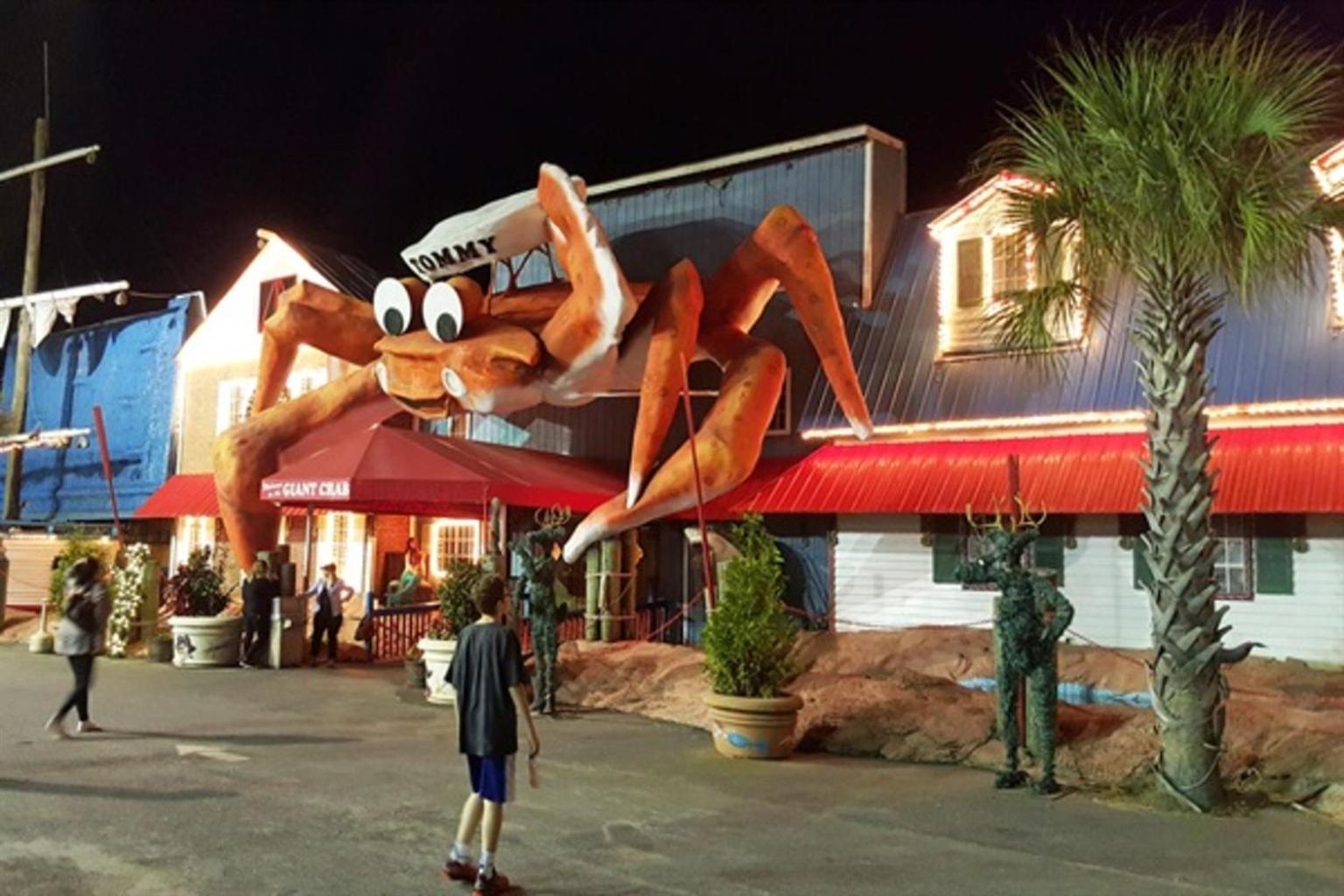 Ocean Annie'S Oceanview Studio,Scenic Views,Pools! Myrtle Beach Eksteriør bilde